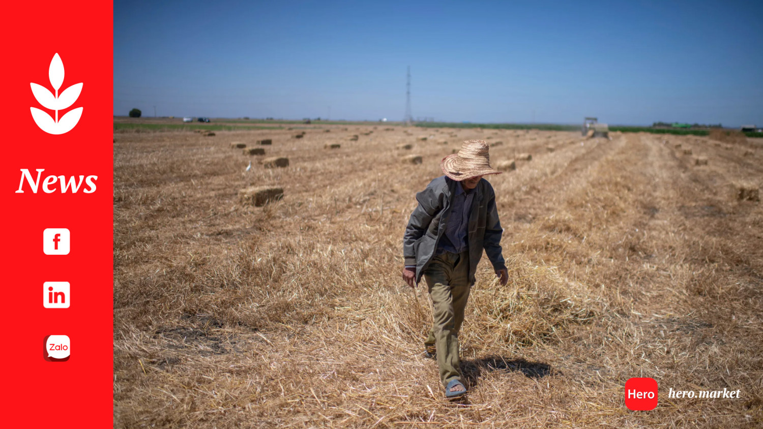 Climate change imperils drought-stricken Morocco’s cereal farmers and its food supply