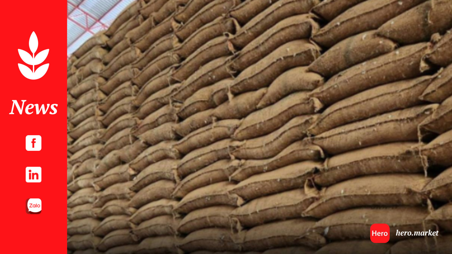 Winning bidder announced in auction of old pledging scheme rice