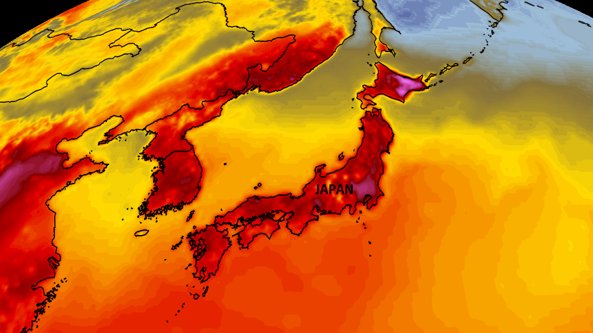 As sweltering summers ravage crops, Japan bets on heat-resistant rice