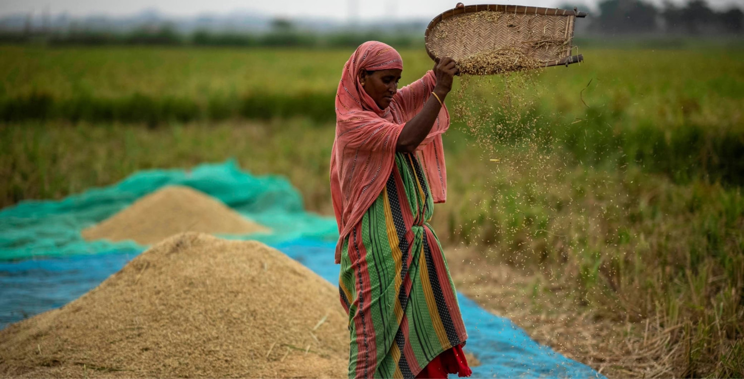 Govt may relax export ban on non-basmati white rice amid surplus, says Pralhad Joshi