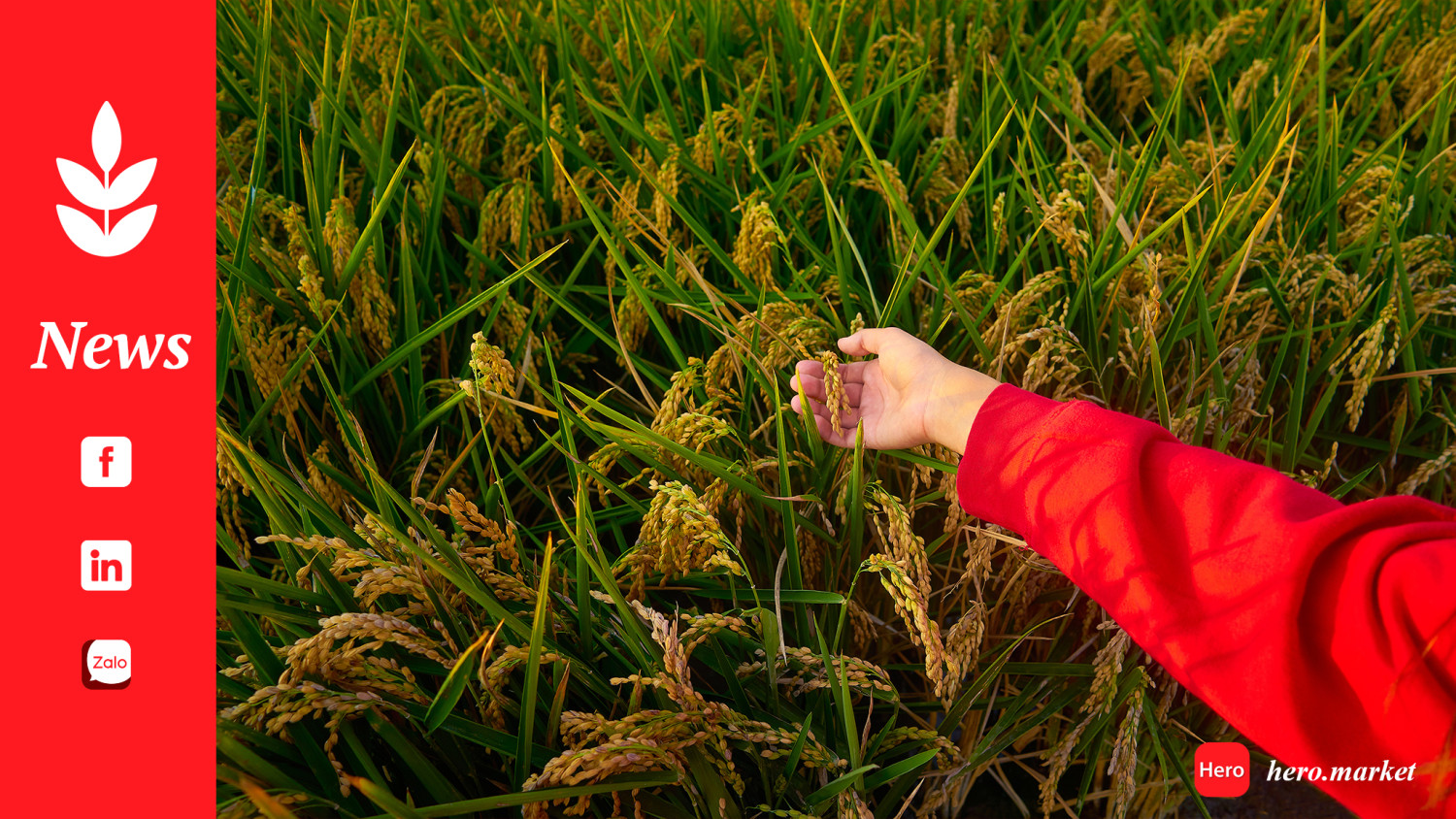 Bumper crop and smart policies