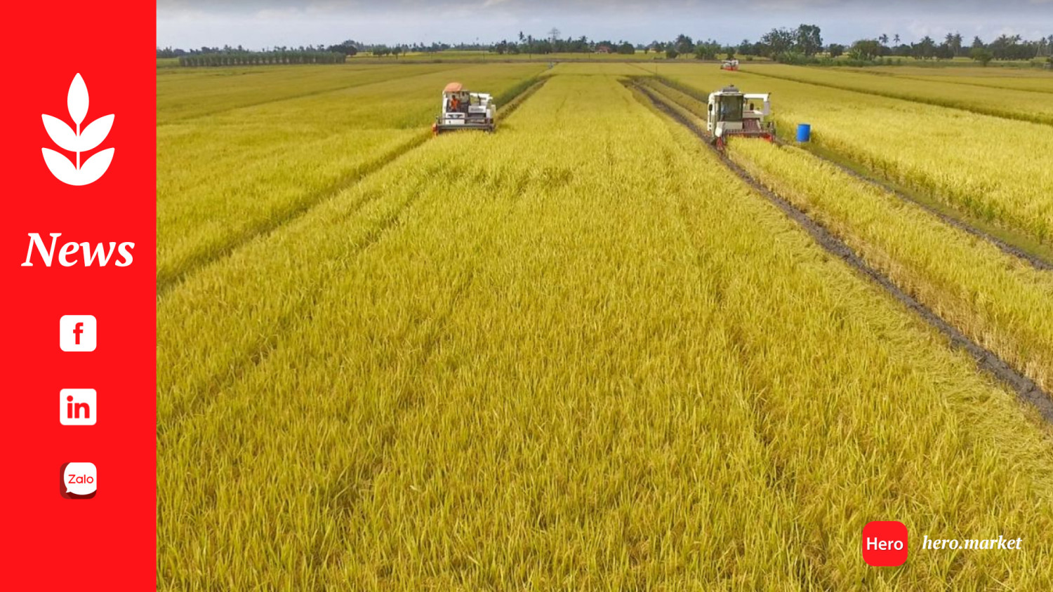 Indonesia's Jan-May rice import reaches 2.2 million tons