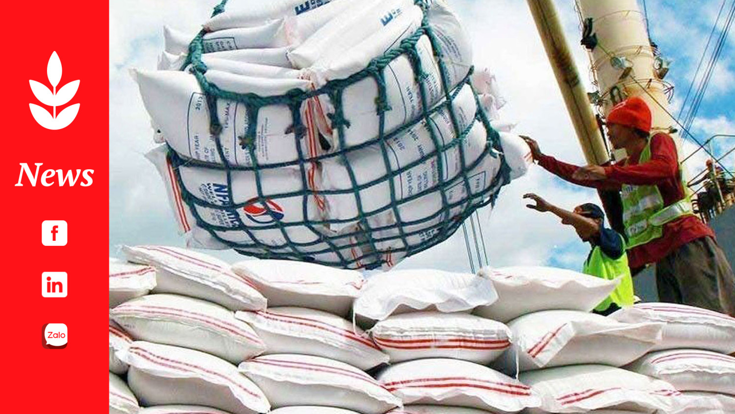 Huge rice imports won’t burden weak peso - Central bank reveals it has sufficient forex reserves