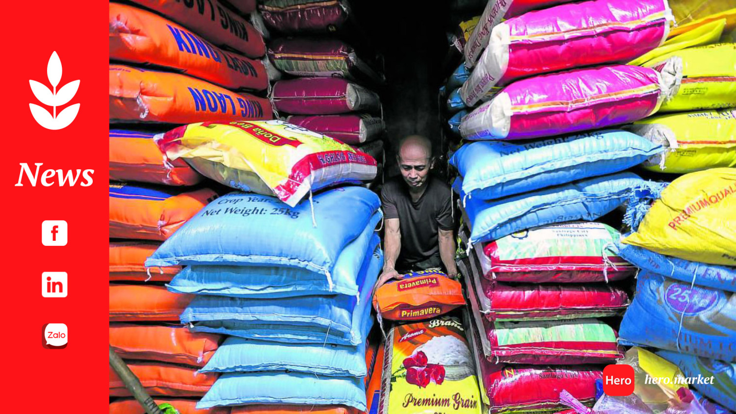 Rice tariff cut to ease upward pressure on prices, says Neda chief