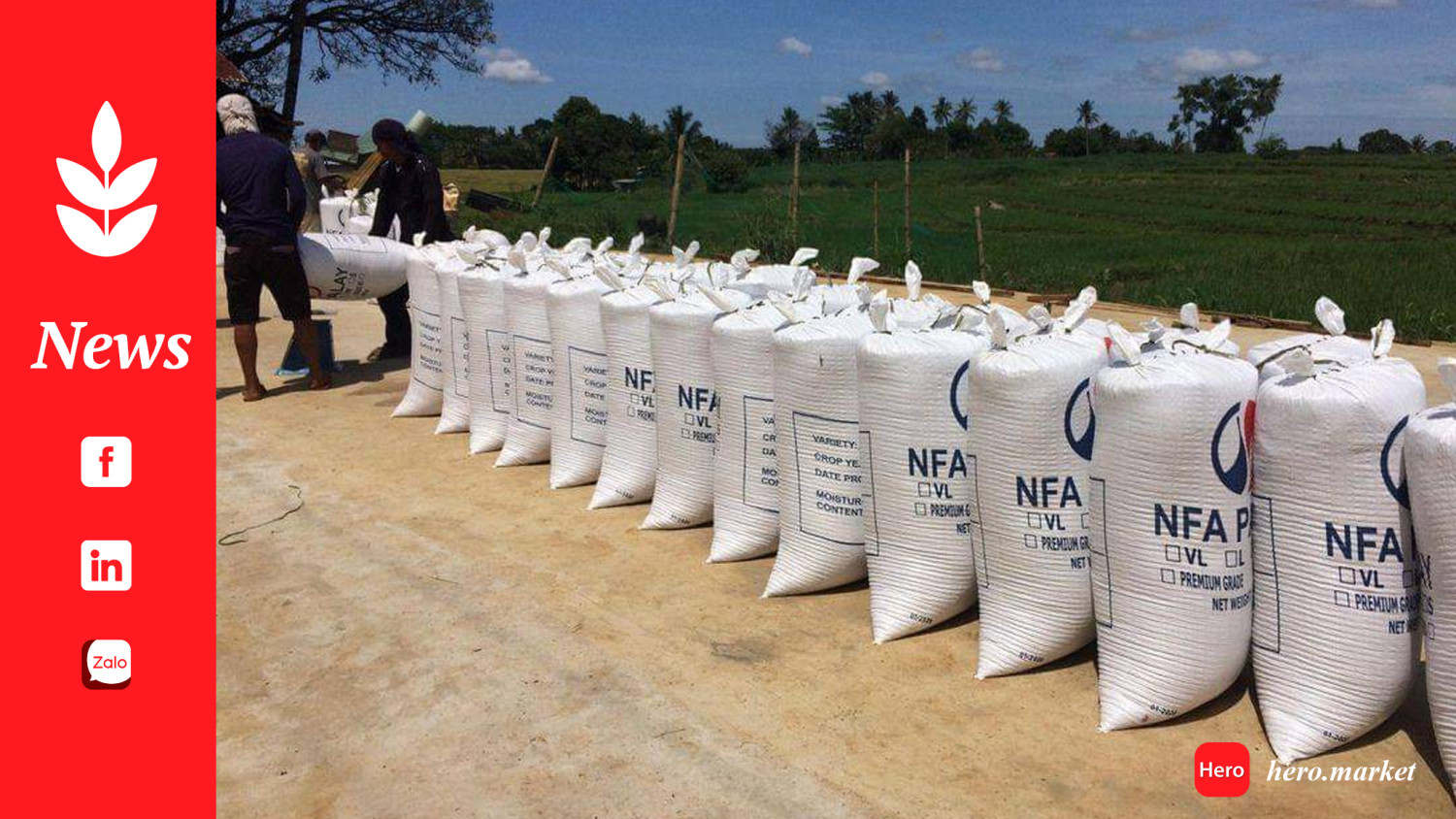 Higher NFA palay buying price range may spur inflation