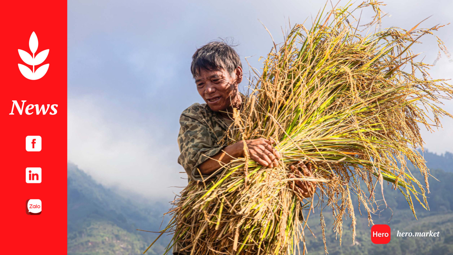 Several agricultural exports hit billion-dollar mark in H1, Vietnam