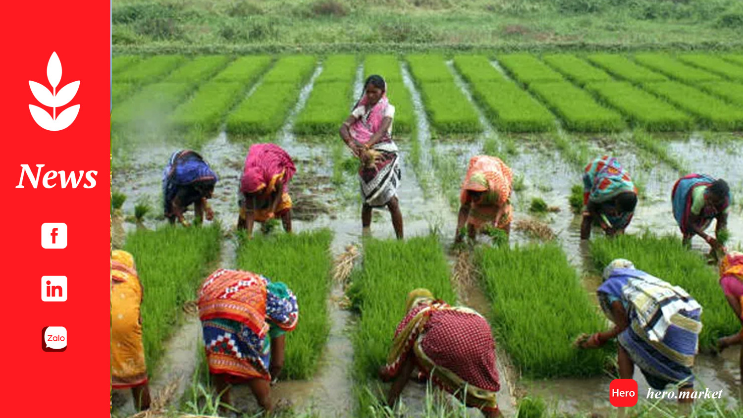 New goverment must fix India’s food systems