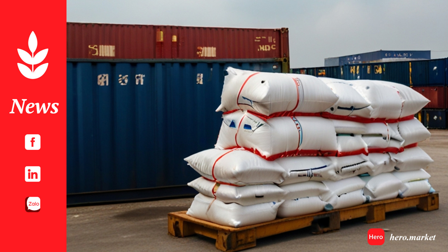 Govt Plans to Boost Rice Exports to China and Hong Kong