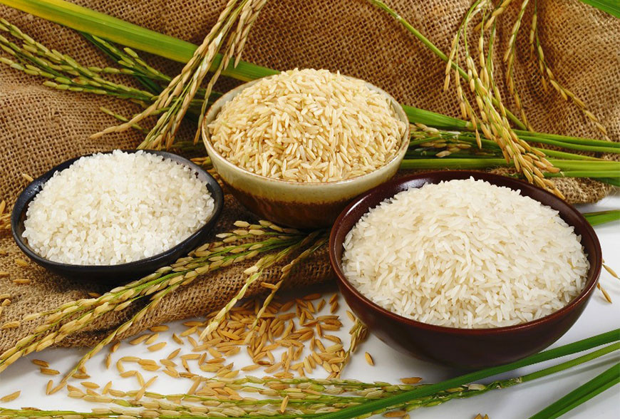 India allows export of 200,000 tonne non-basmati rice to Malaysia