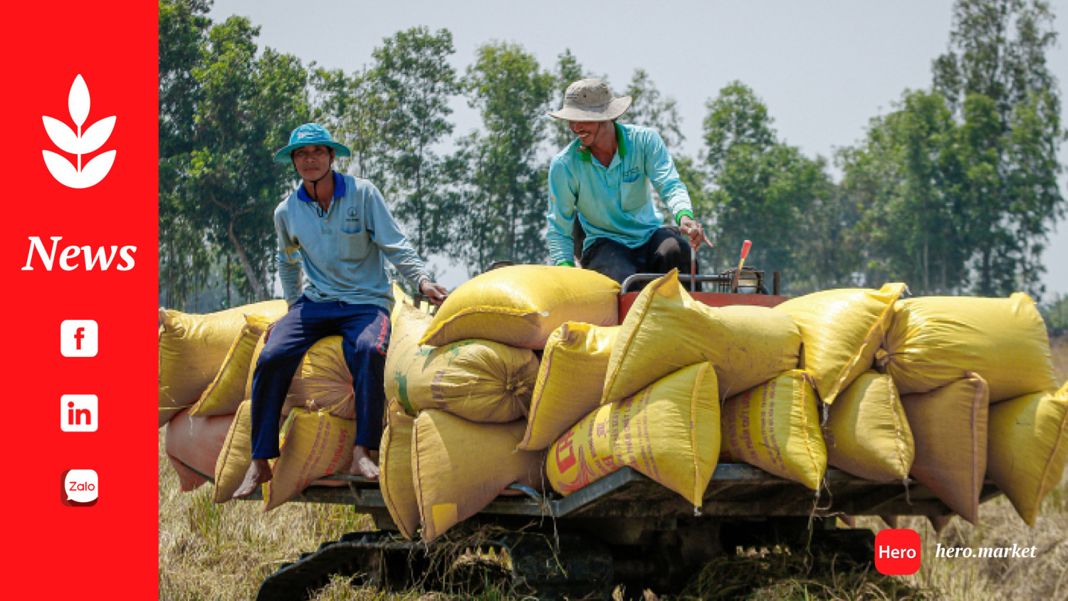 Philippines spends $1.2B on Vietnamese rice in H1