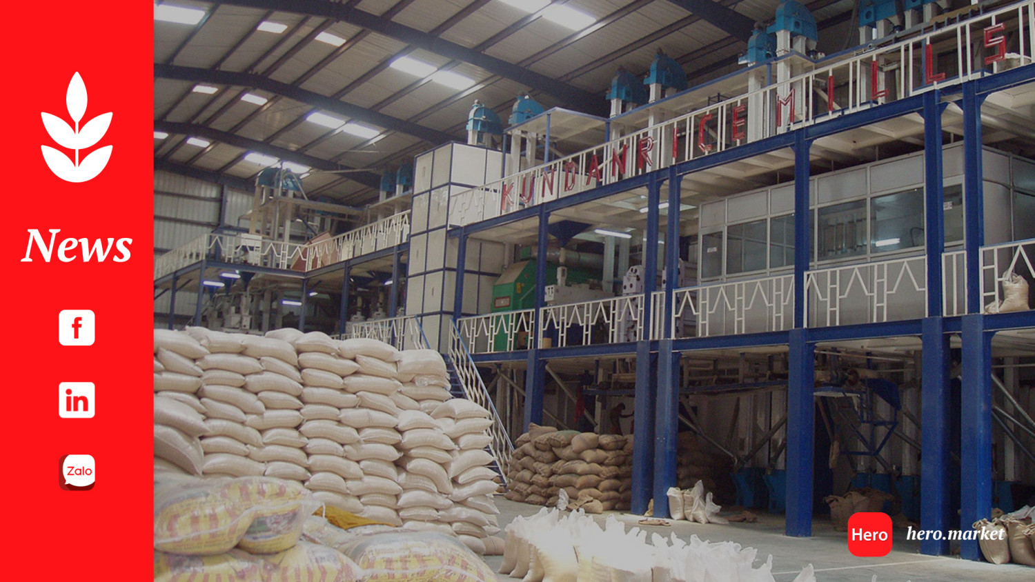 Losing the competition, thousands of rice millers die