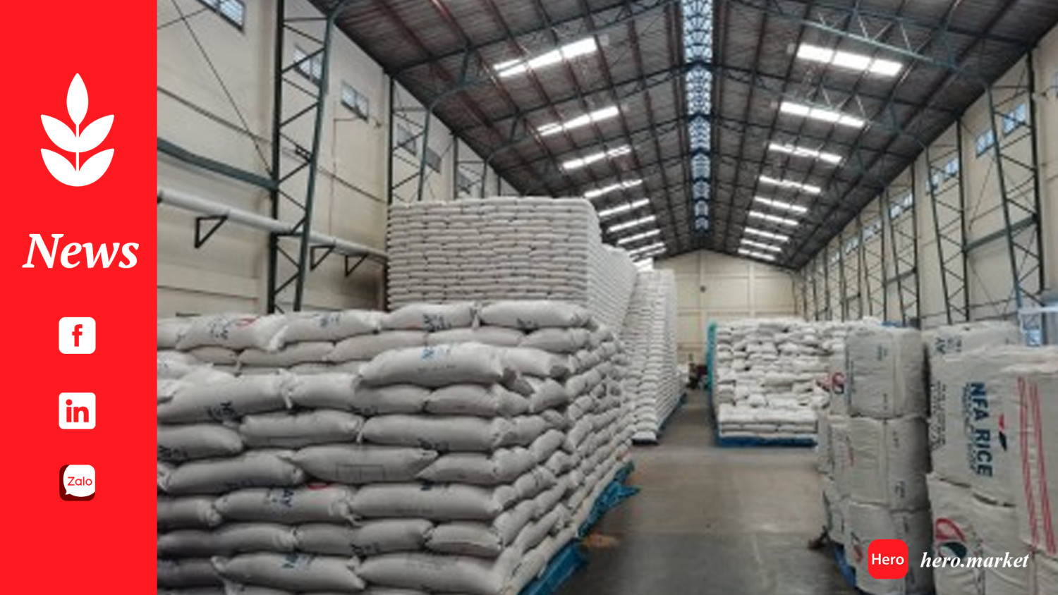 Philippines to import less rice this year – USDA