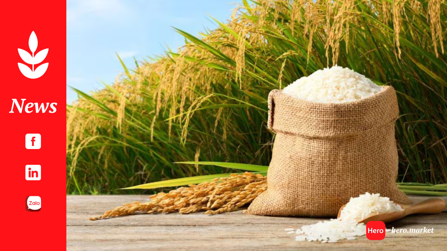 Rice exports: a dangerous addiction