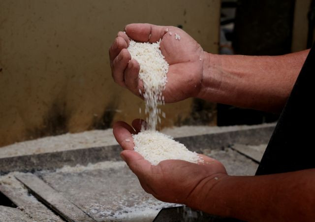 prices-of-vietnamese-rice-exports-at-world-high