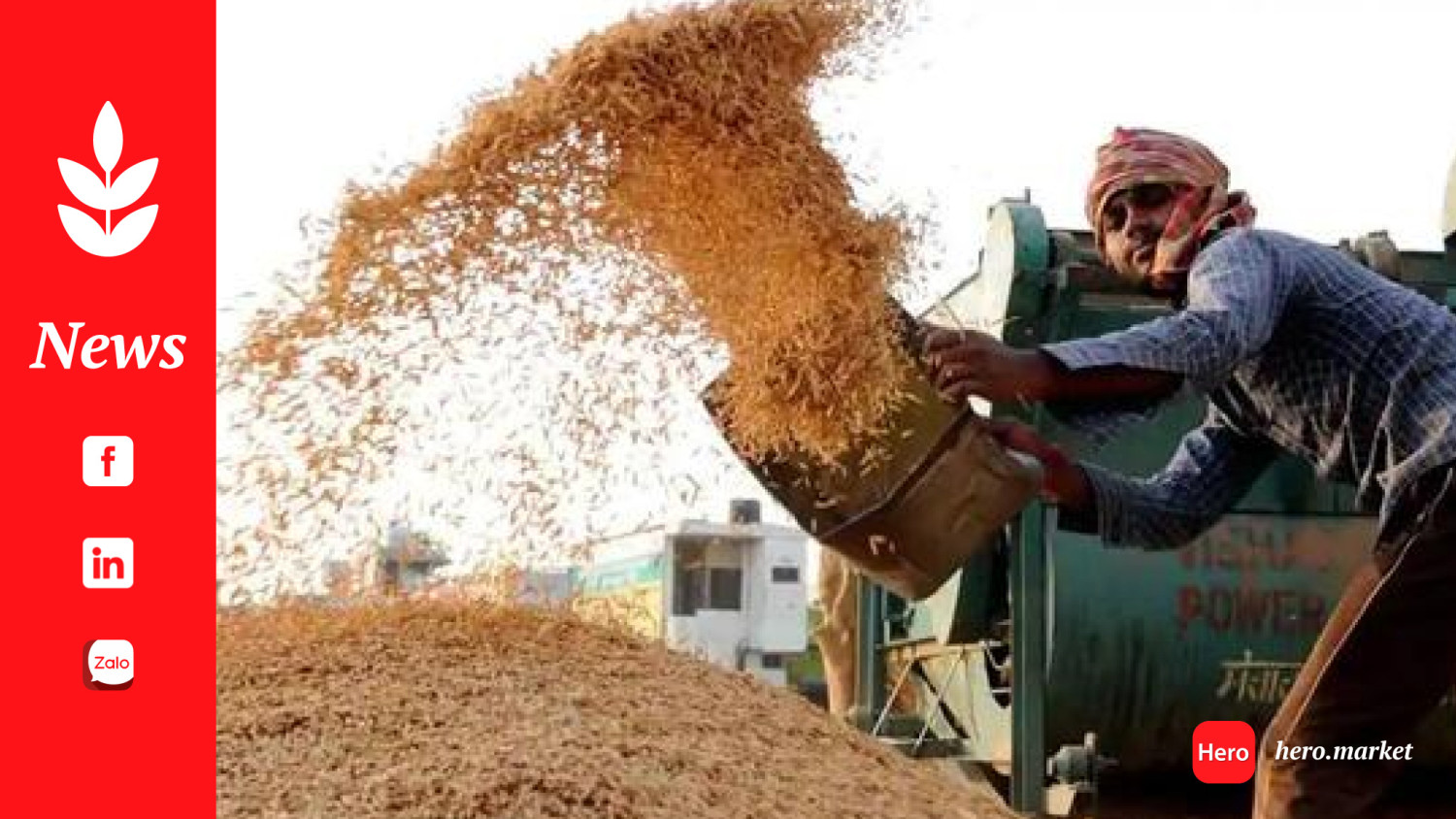 Rice export ban of India could be lifted, says Niti Aayog’s Ramesh Chand