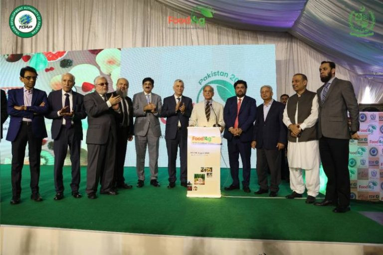 Pakistan secures major success at FoodAg 2024 with USD 4.3 million rice export to Kenya