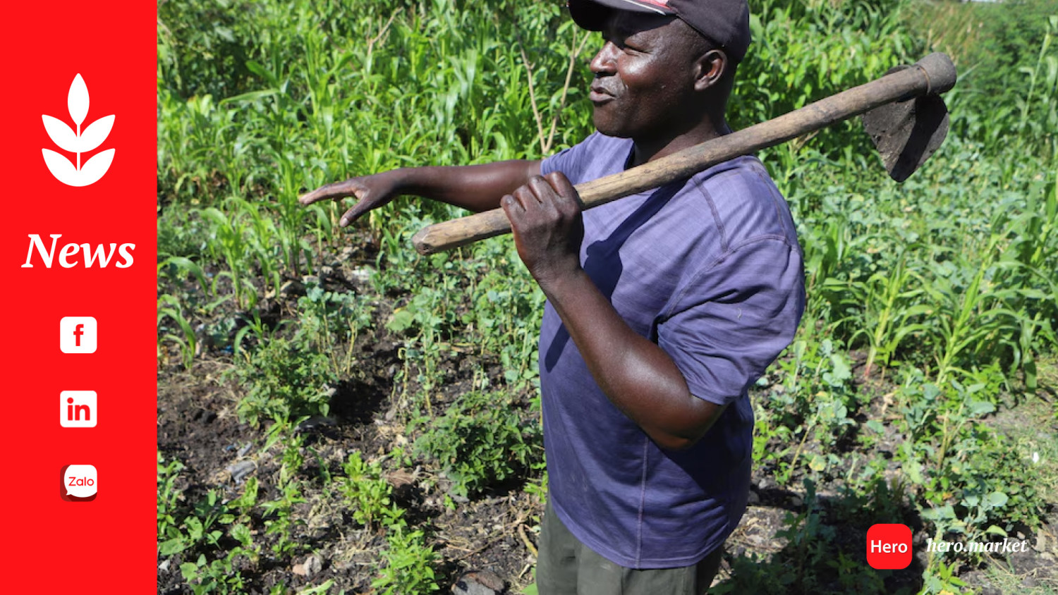 Farmers in Africa say their soil is dying and chemical fertilizers are in part to blame