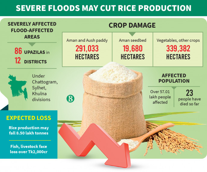 Floods in Bangladesh threaten a drop in rice production by 8.5 lakh tonnes