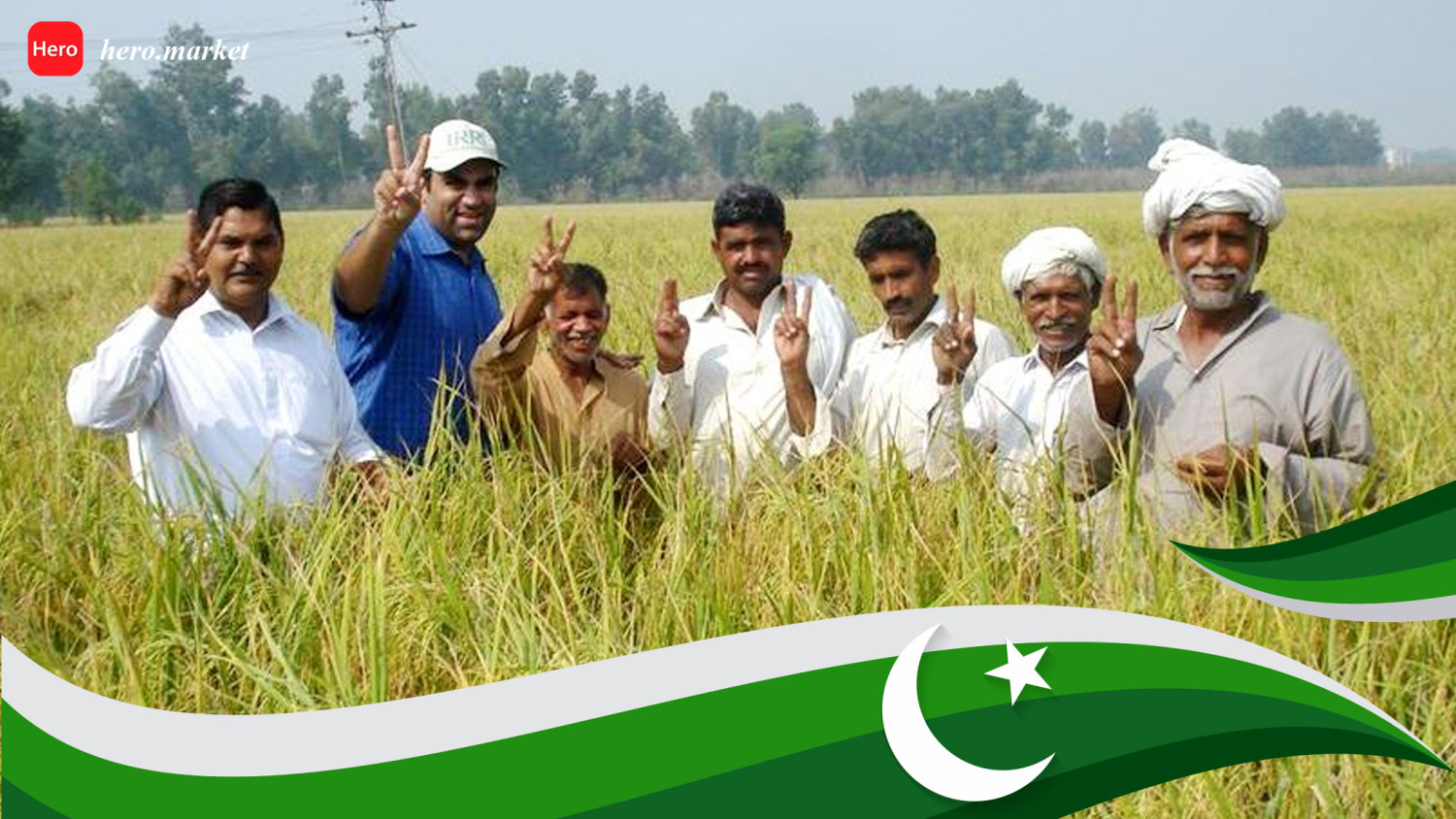 Pakistan Rice Industry