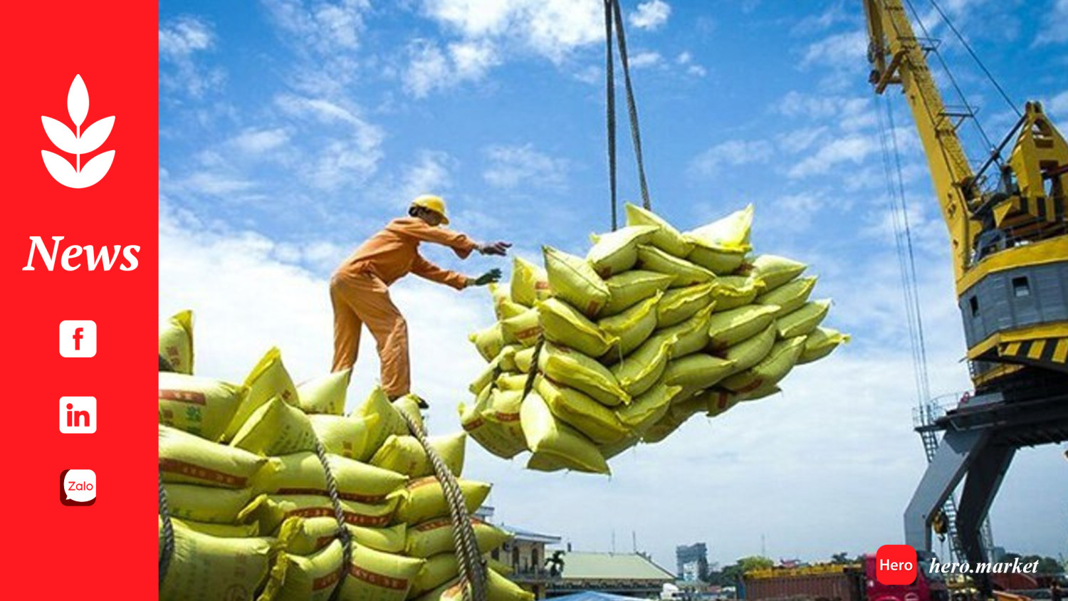 Thailand to make a strong bid as Philippine rice imports set to increase