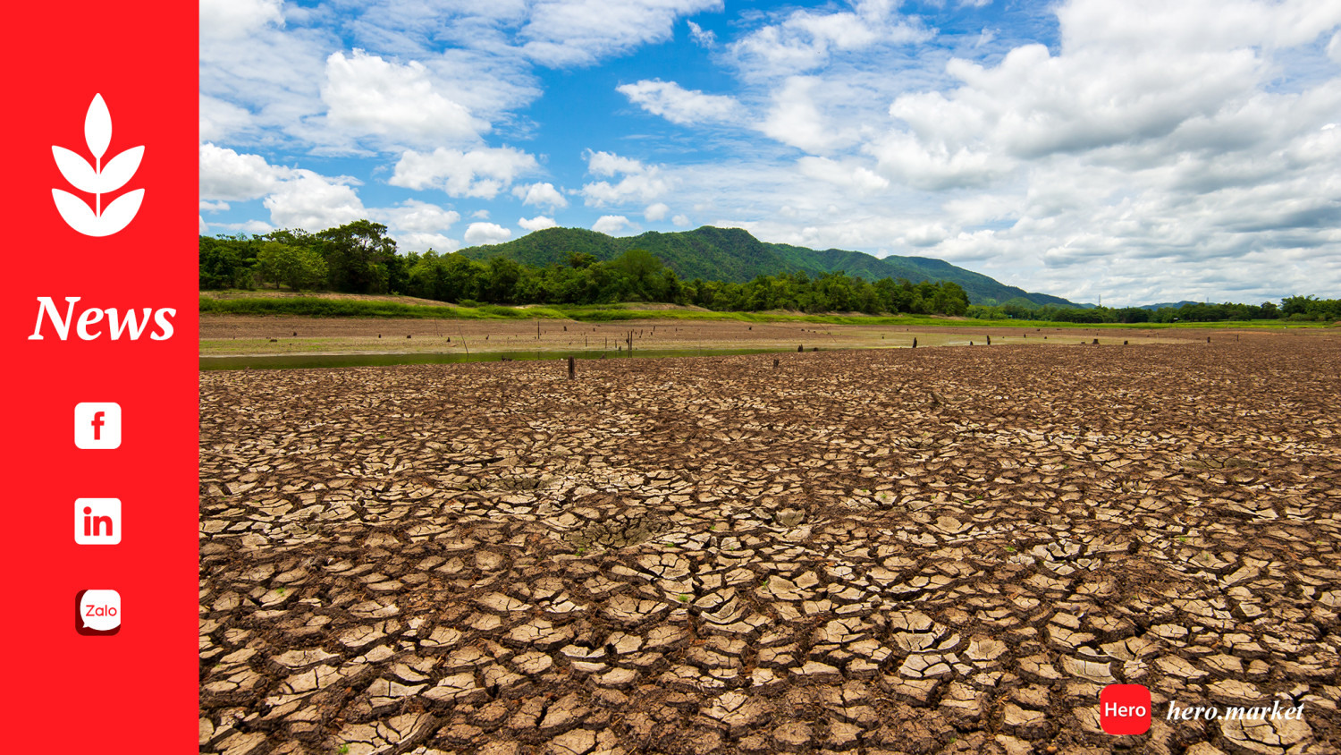 ASEAN states struggle as El Niño bites