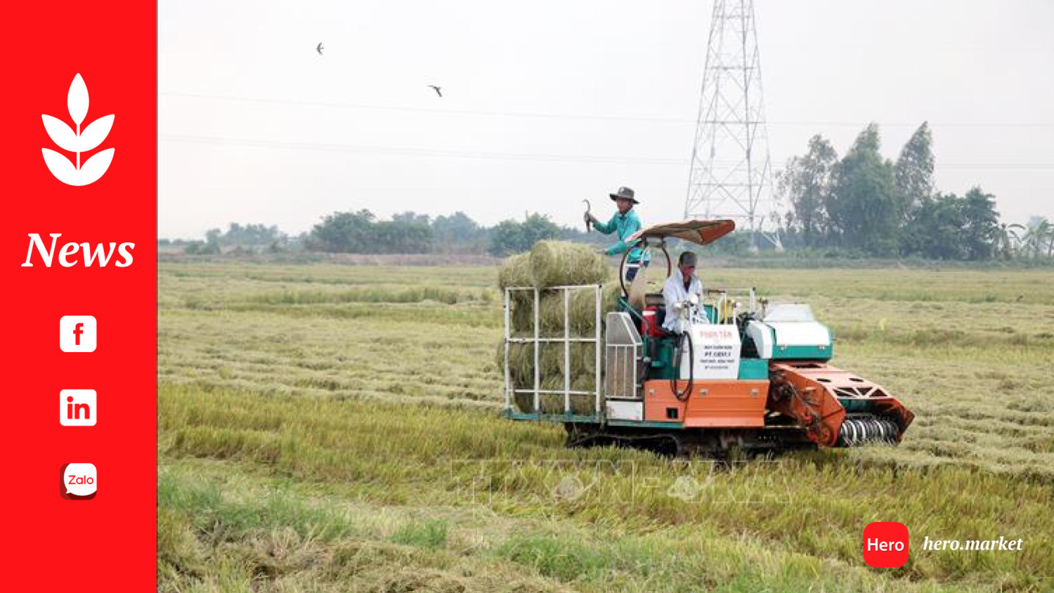 Workshop highlights Vietnam's potential for developing circular economy from rice by-products