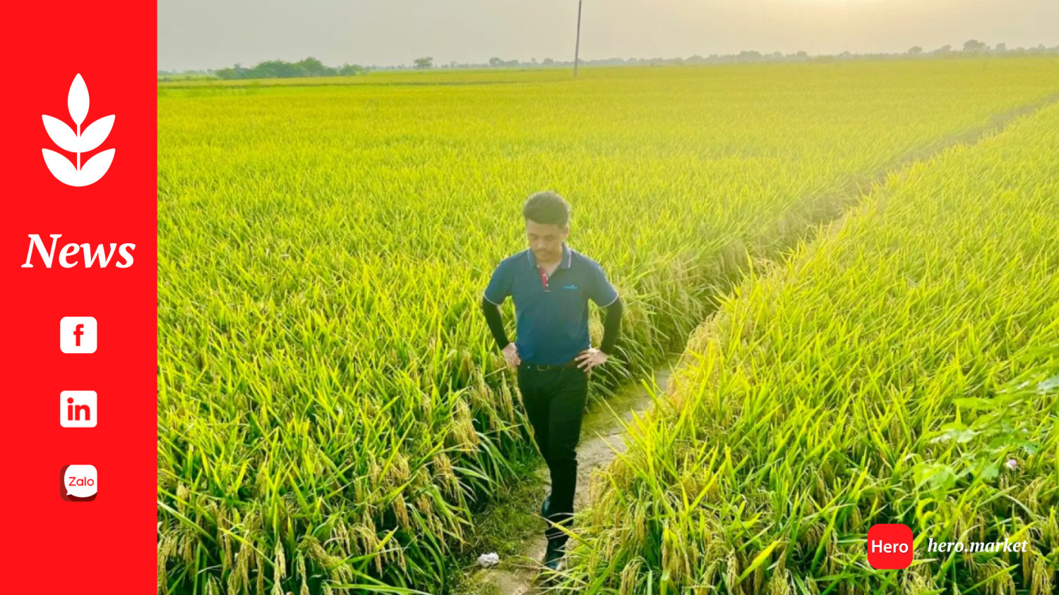 China scientist defies terror threats to help Pakistan farmers boost rice yields