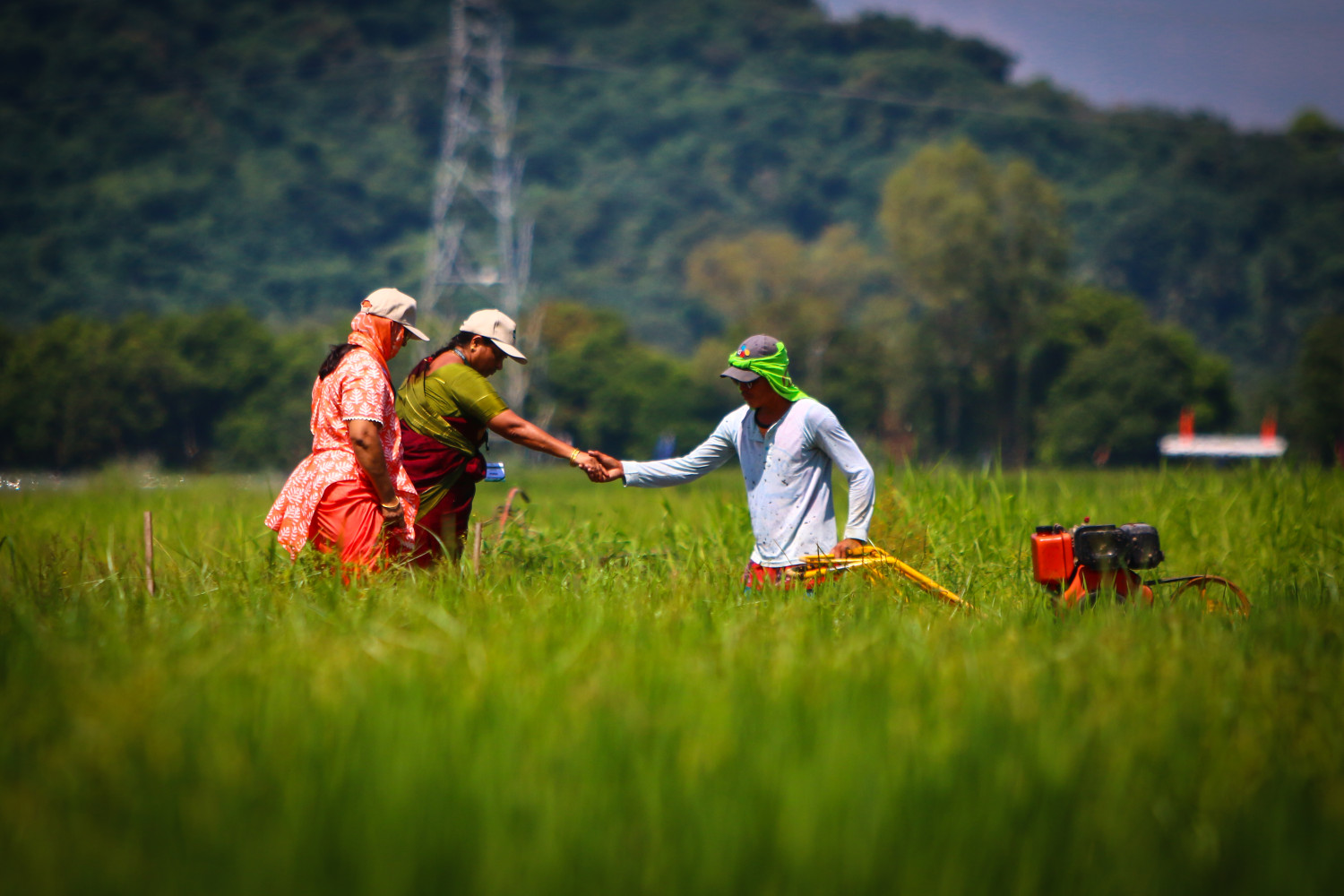 philippines-initiative-launched-to-get-youth-to-plant-rice