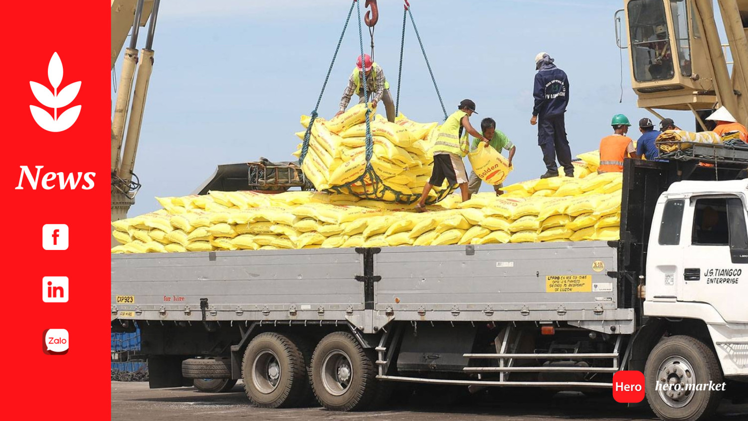 Rice imports higher as of mid-June – DA