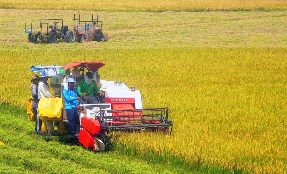 Mechanisms needed for Vietnam rice industry to go circular: insiders