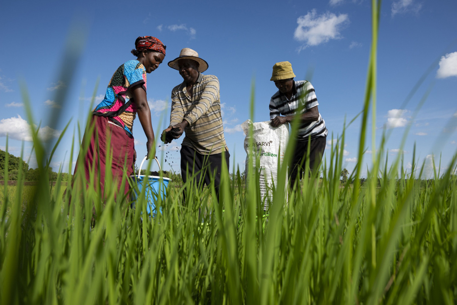 Kenyans To Pay More For Rice, Wheat Flour