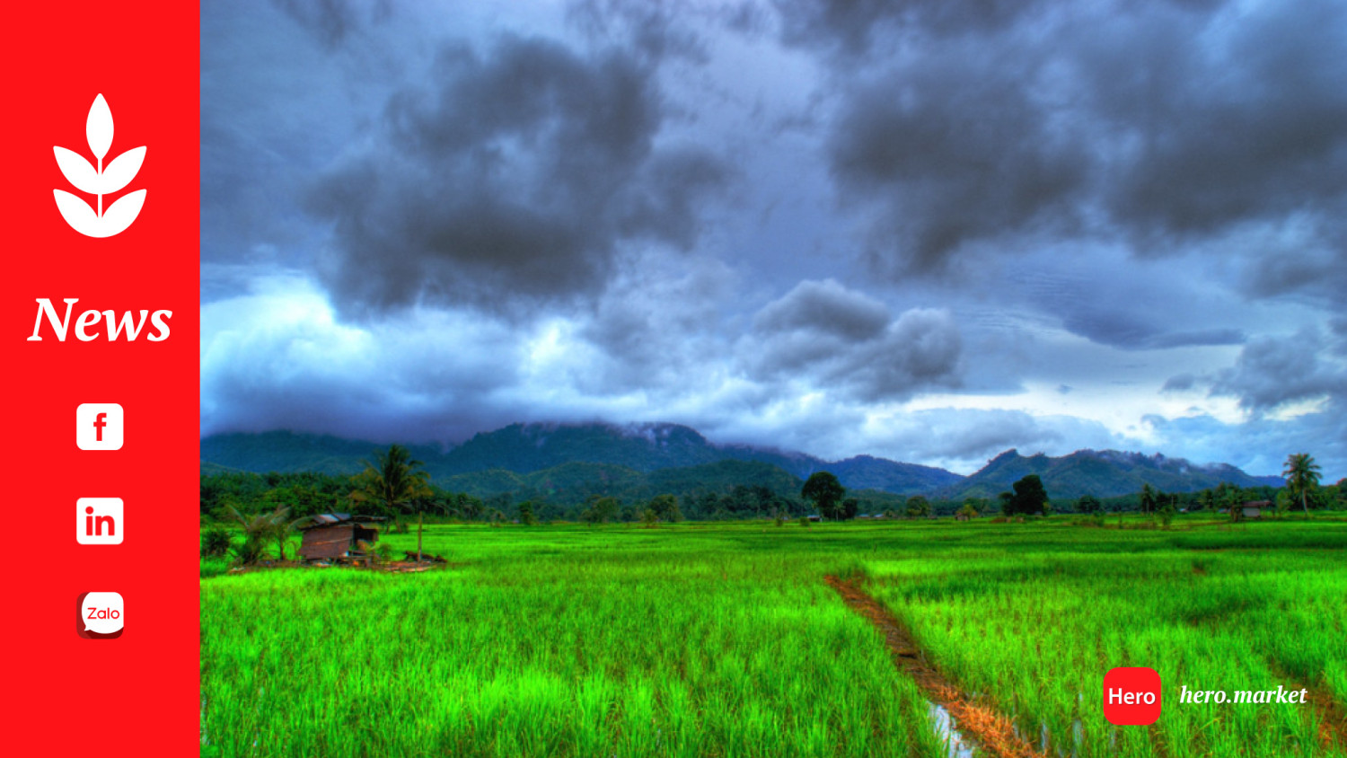 Rainfall would be more than 106% for the second part of monsoon across India: IMD