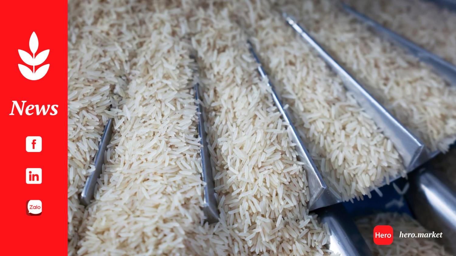 Govt permits 2,000 tonnes non-basmati white rice exports to Malawi, Zimbabwe