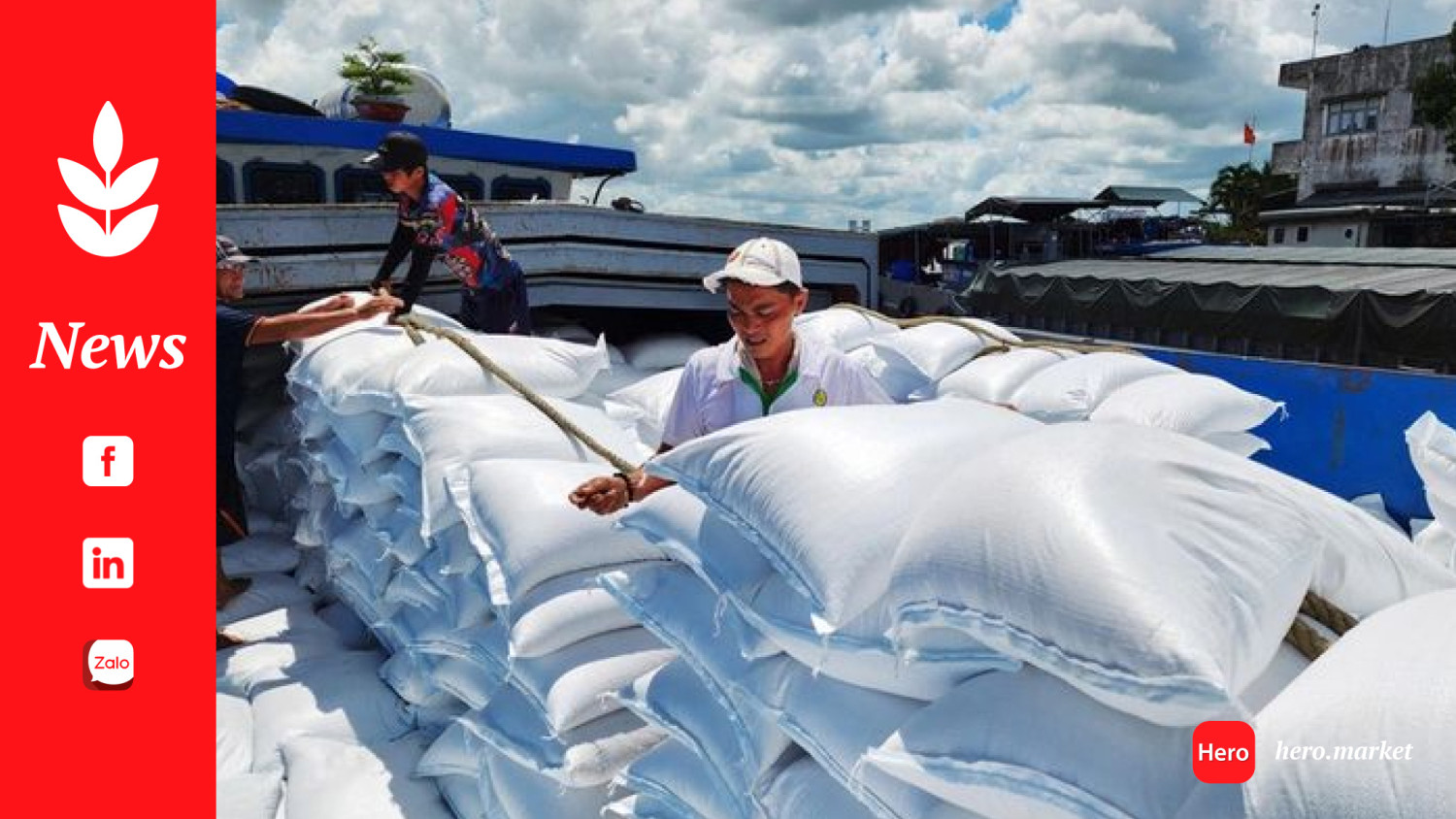 Vietnamese rice exporter rejects ‘price inflation’ allegation amid corruption scam in Indonesia