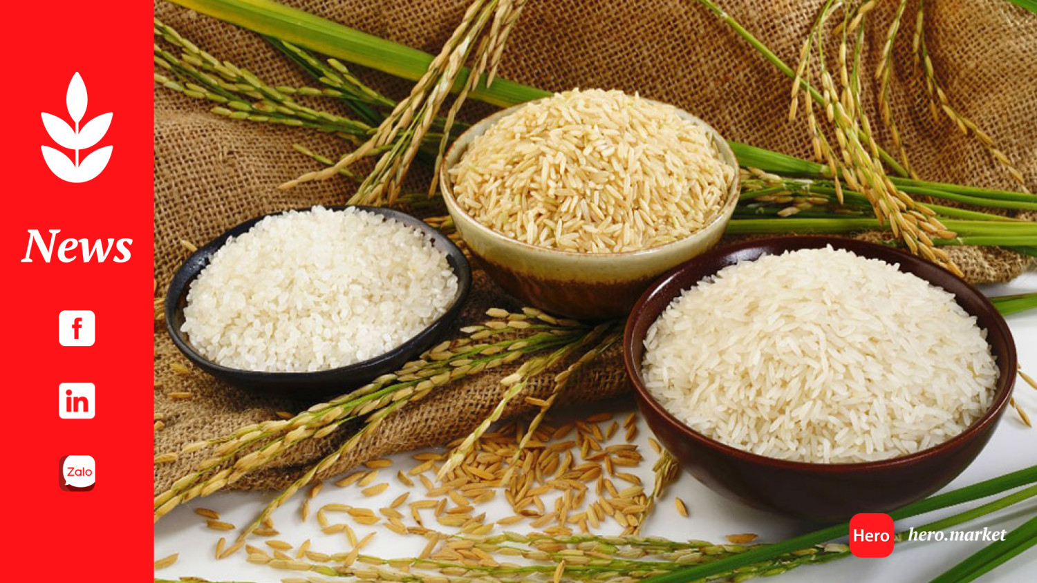 High rice price squeezes South African consumers