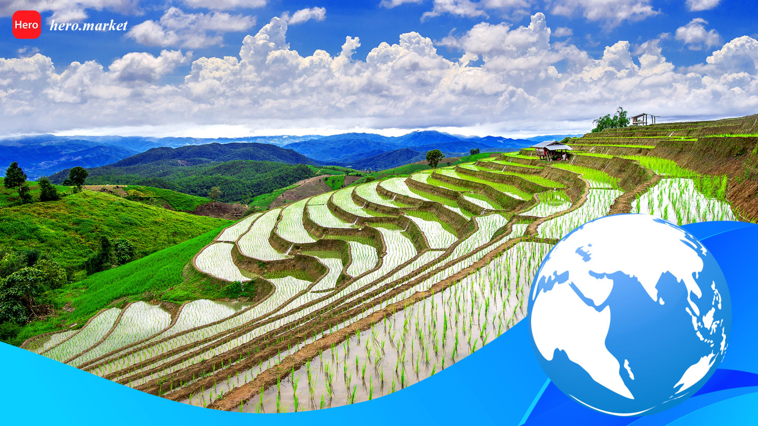 Global Rice Industry - Overview