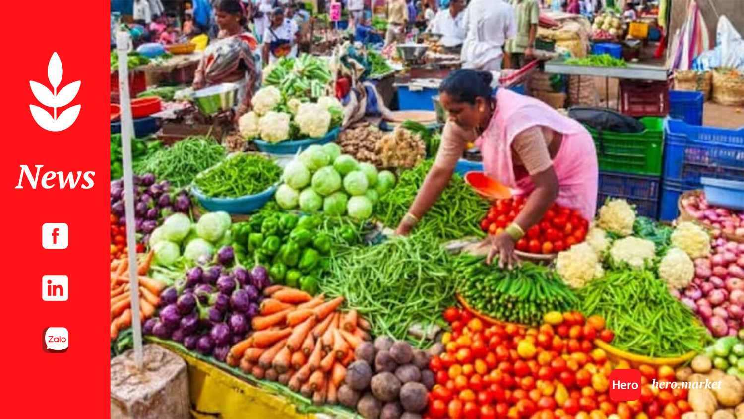 Rice roti rate in June: High tomato, onion and potato prices push veg thali price by 10%, price for non-veg thali falls 4%