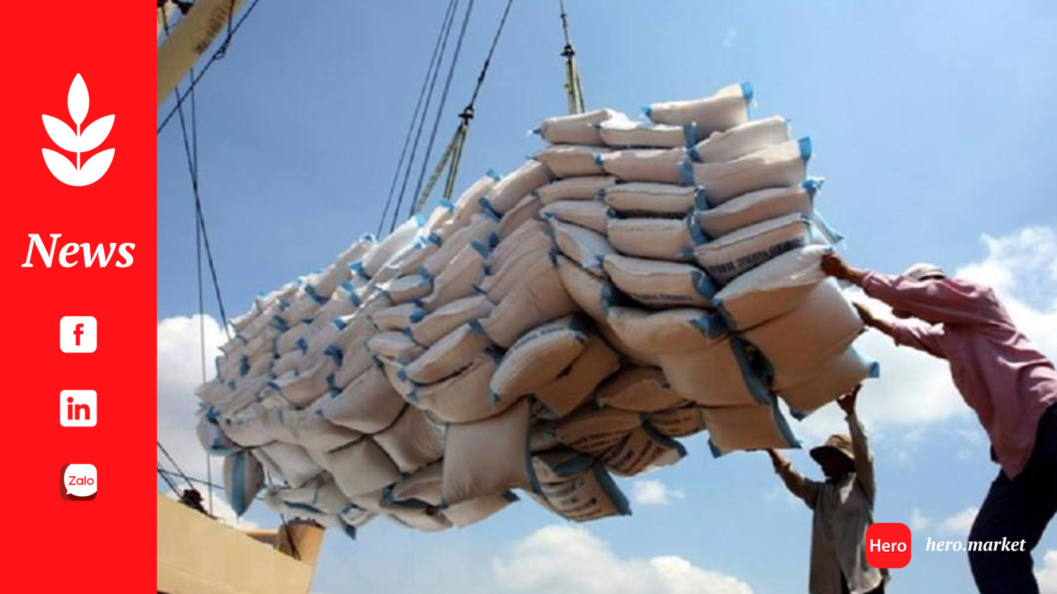 Vietnamese rice continues to dominate Philippine market despite policy shifts