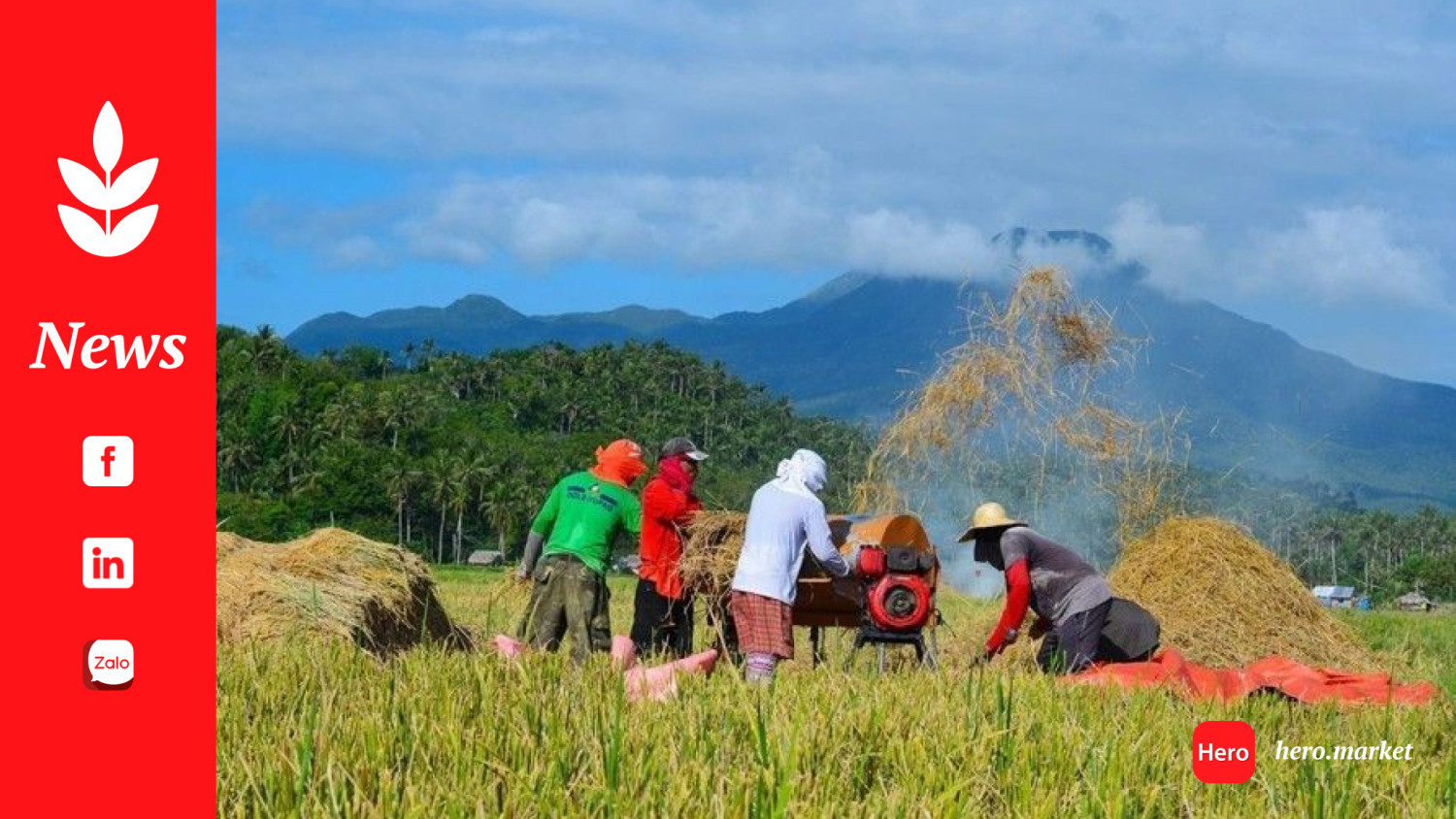 Farmers: Rice tariff cut a stab in the back