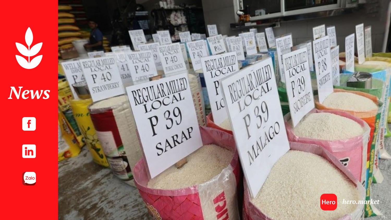 DTI-6 starts rice price monitoring in the Philippines