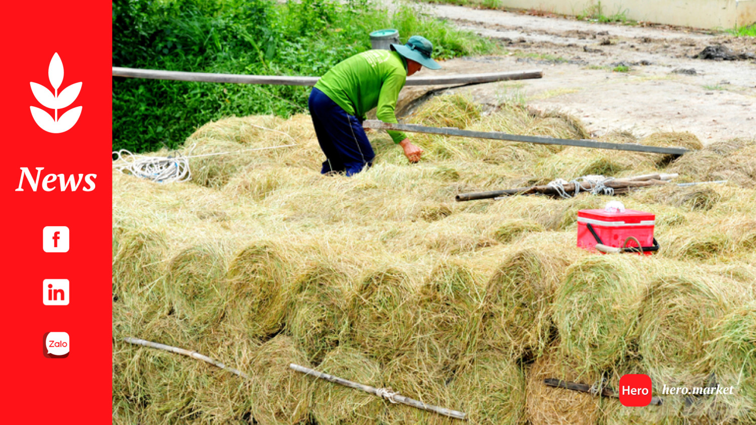 Utilization of rice by-products to save 1.4 million tons of fertilizers in Mekong Delta