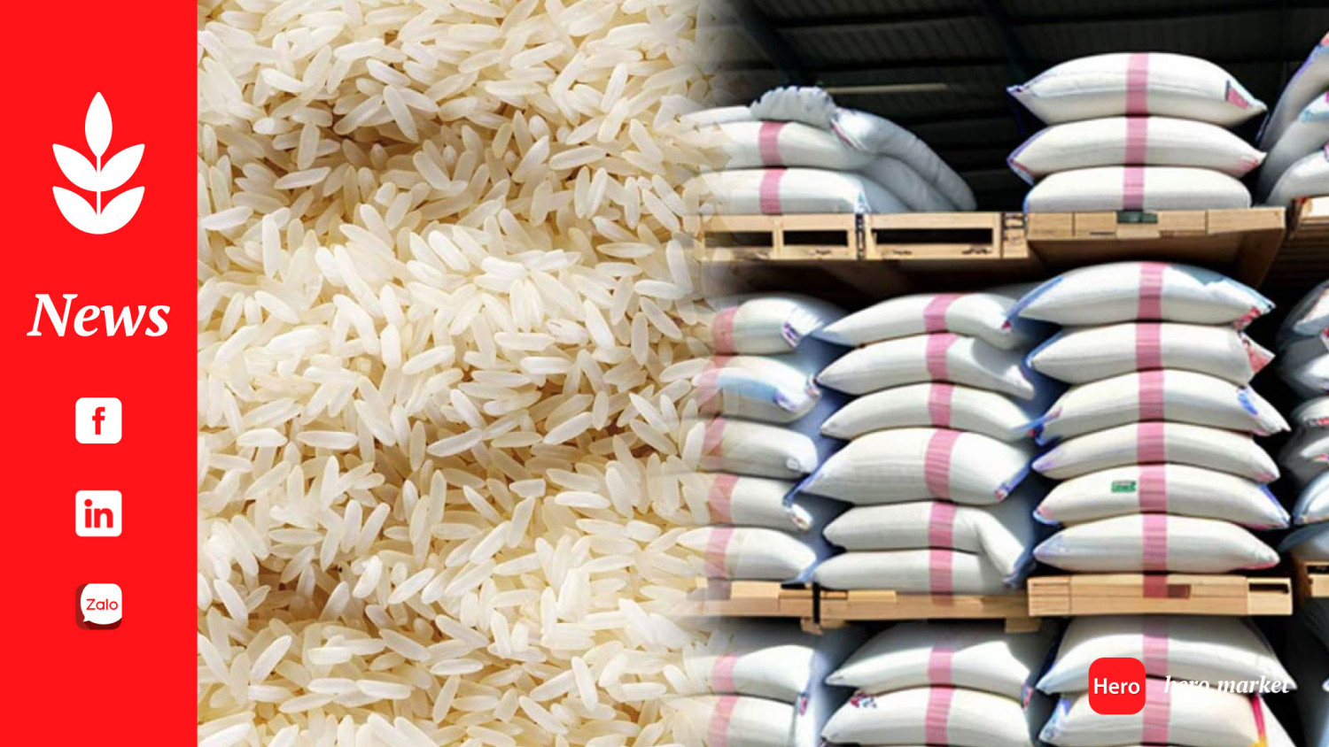 India under WTO scrutiny for alleged ban on rice exports to UN tenders