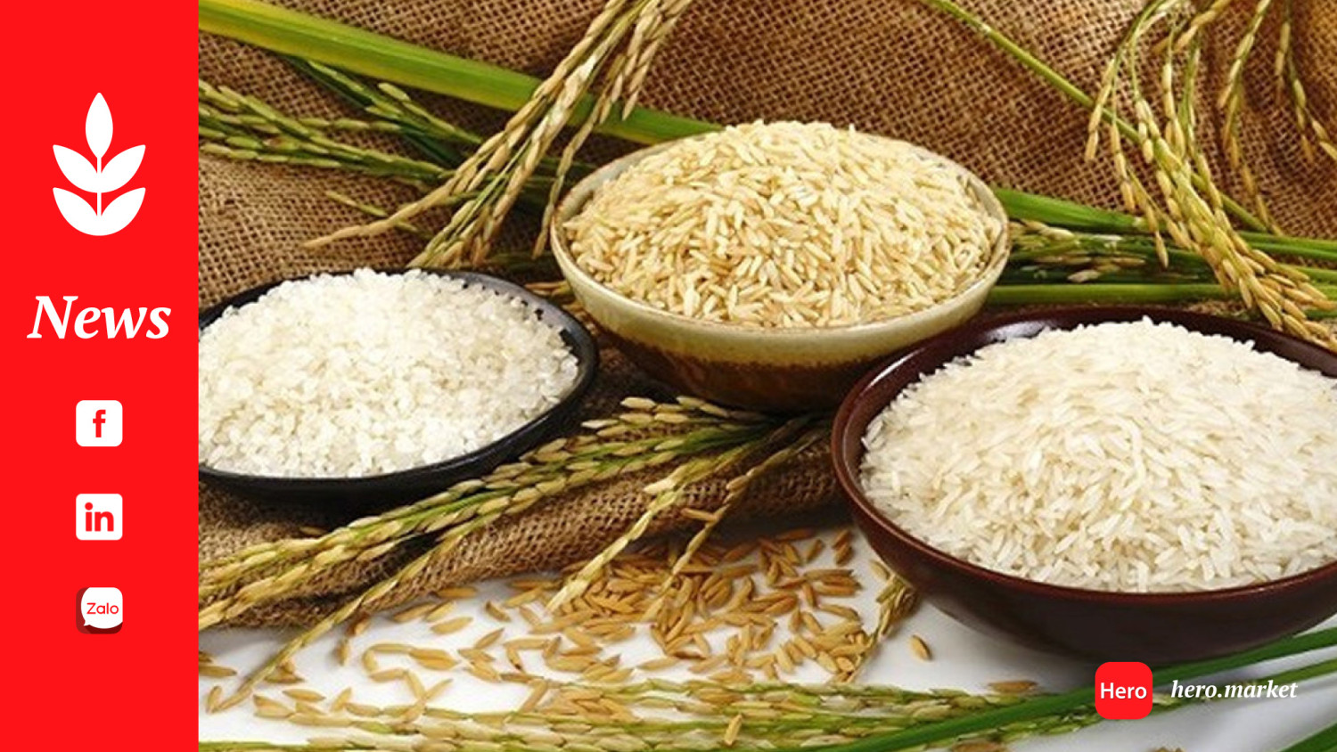 Rice auction attracts crowds of exporters