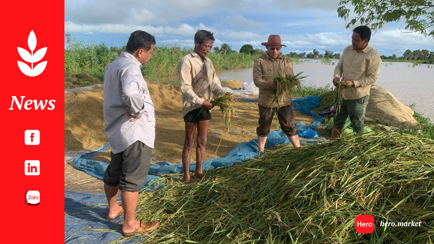 Kampong Thom flooding affects 474 hectares of rice