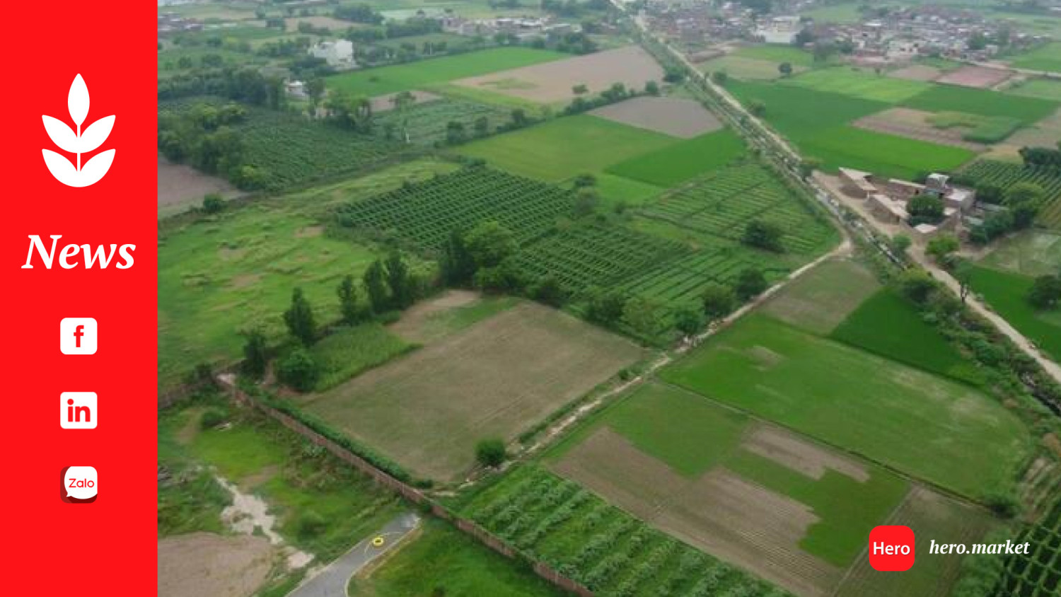 Govt sincere to limit use of farmland for non-agricultural purposes: Minister