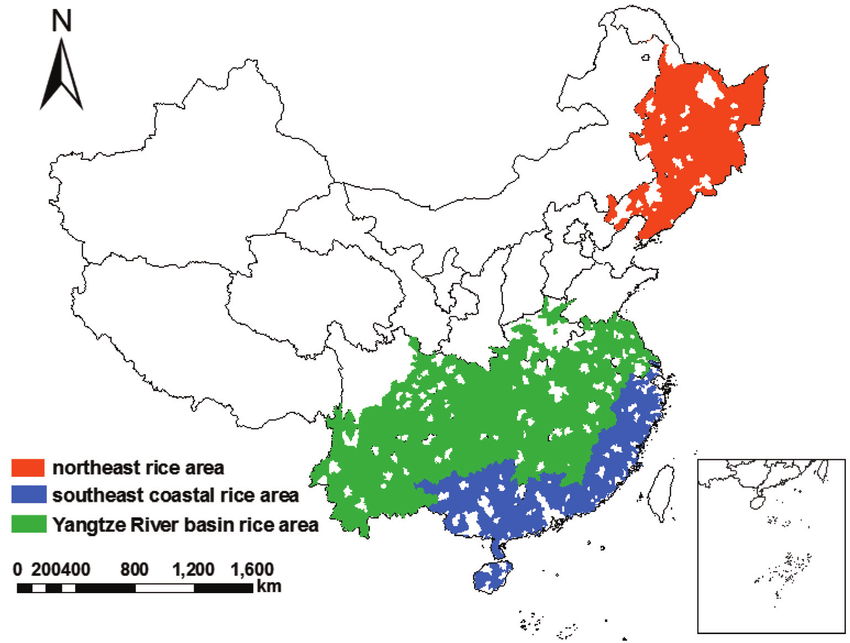 China's Rice Crop Threatened by Extreme Weather