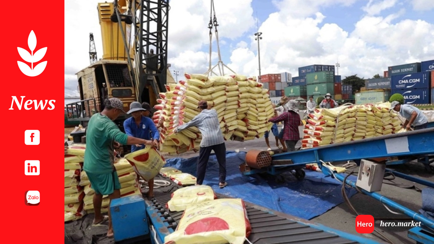 Indonesia's Rice Tender: Vietnam and Myanmar Dominate, Prices Surprise Market