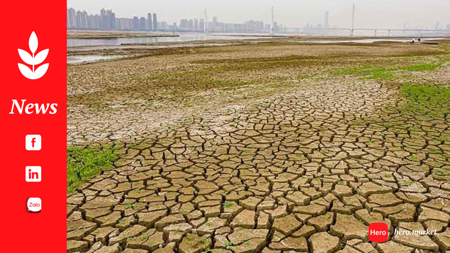 Climate issues to cut Brazil's 2024 grain harvest by 5.9 pct