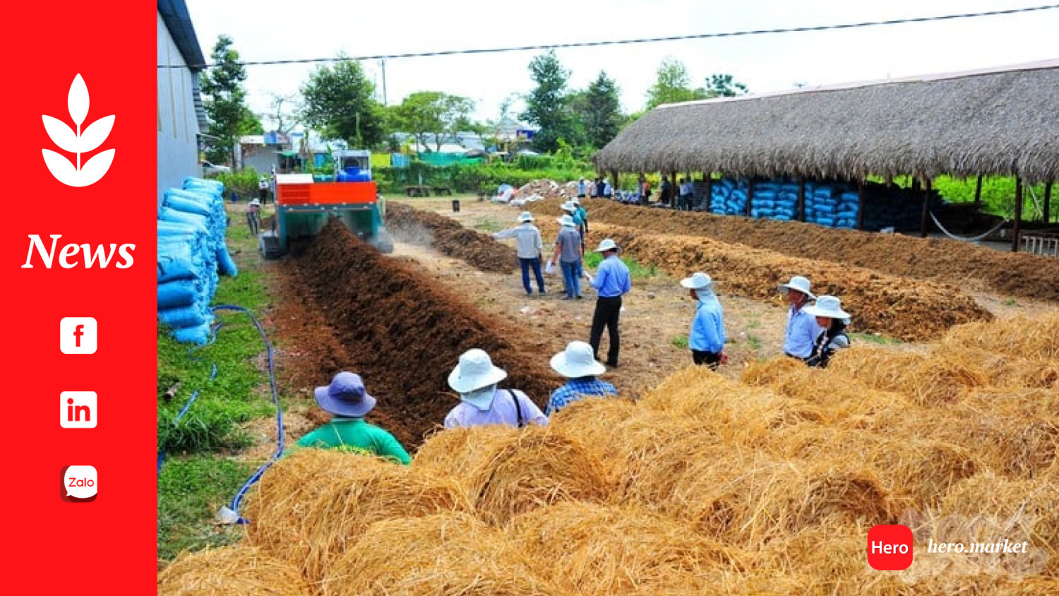 Vietnam organic fertilizer from rice straw contributes to cleaning the environment