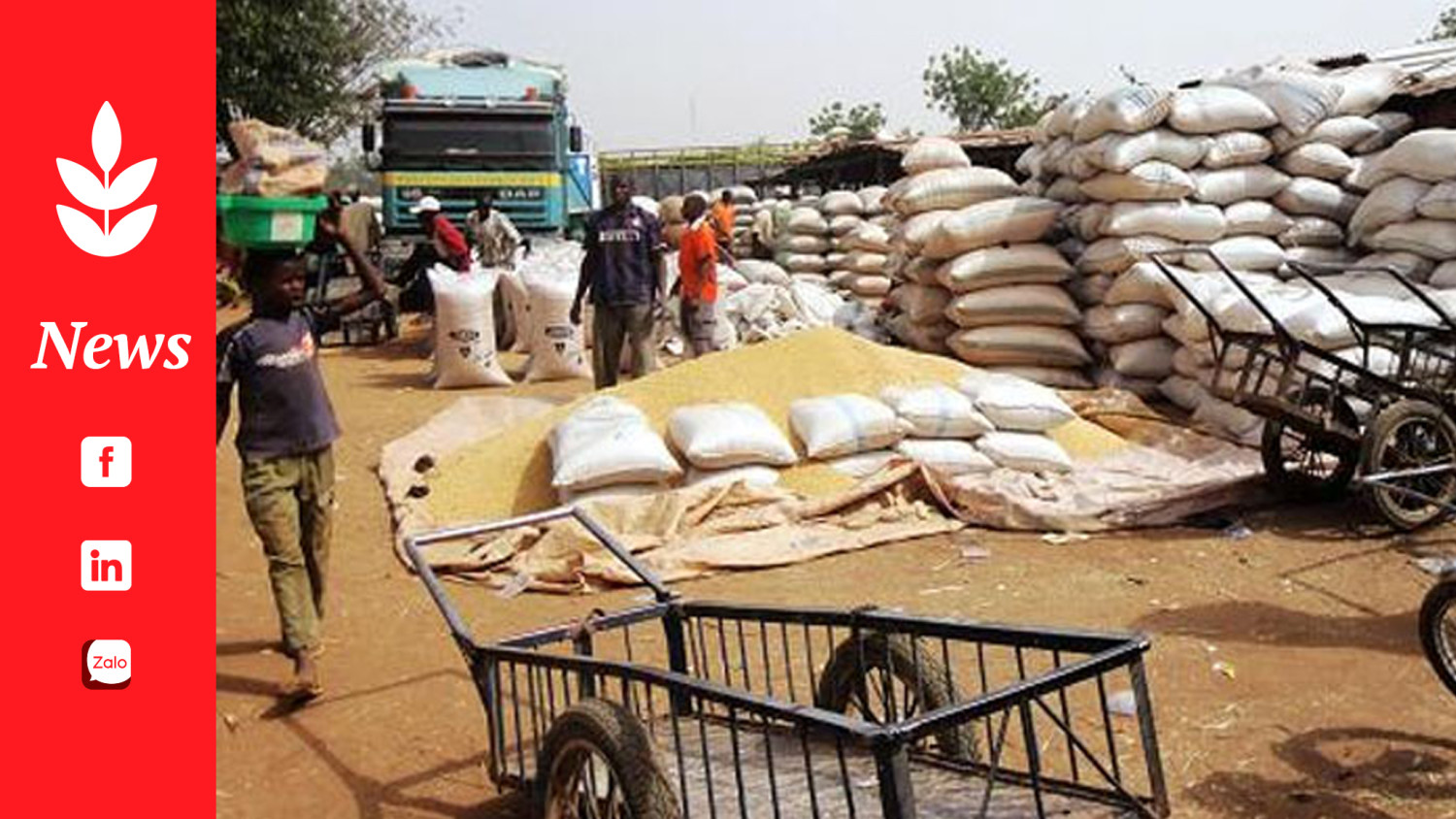 Nigerian grain output seen declining